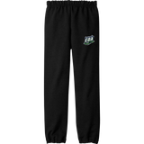 EDA Youth Heavy Blend Sweatpant